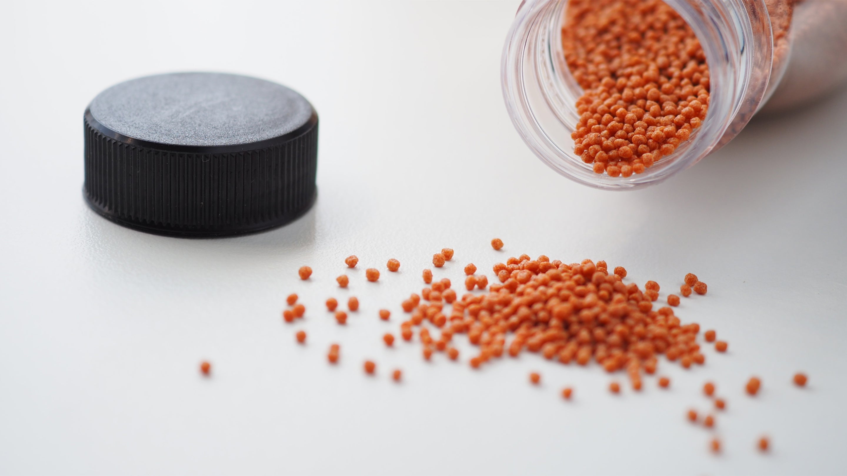 Buy aquarium fish food in Kathmandu Nepal