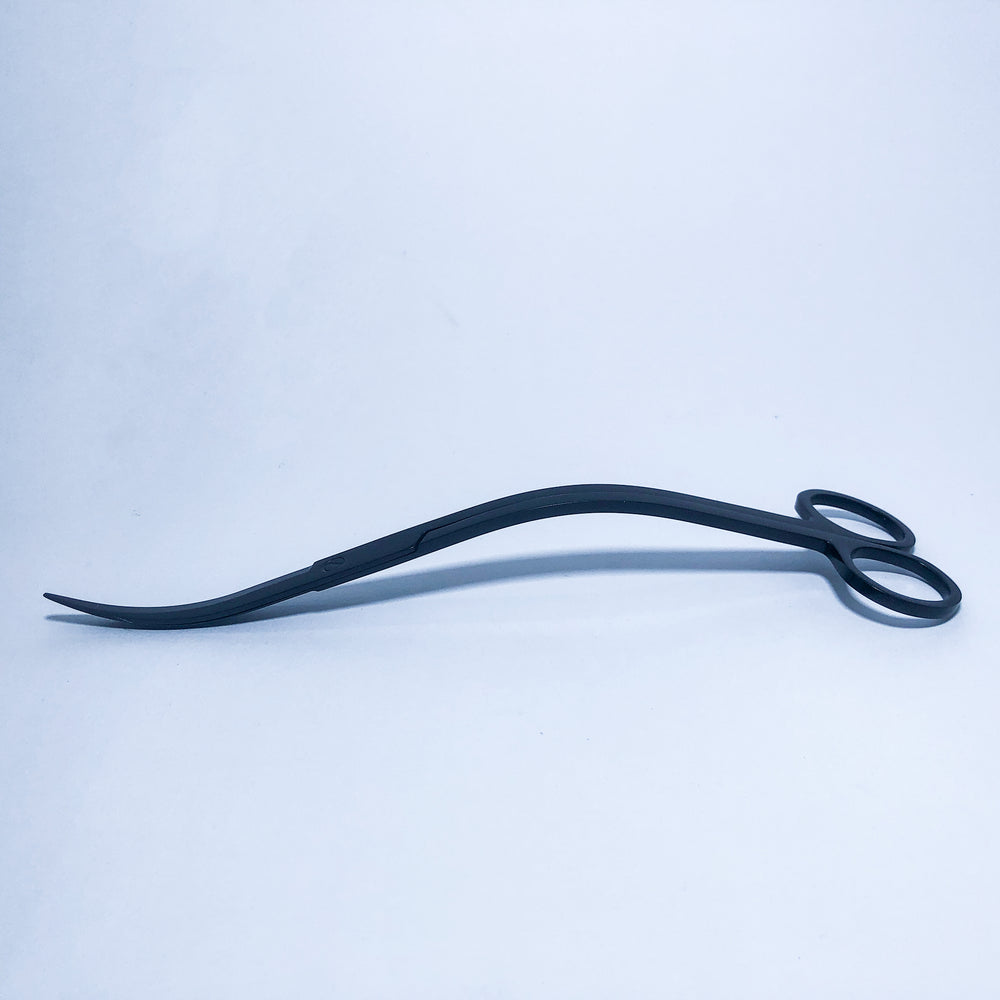 Chenls Curved Scissor - nepalaquastudio