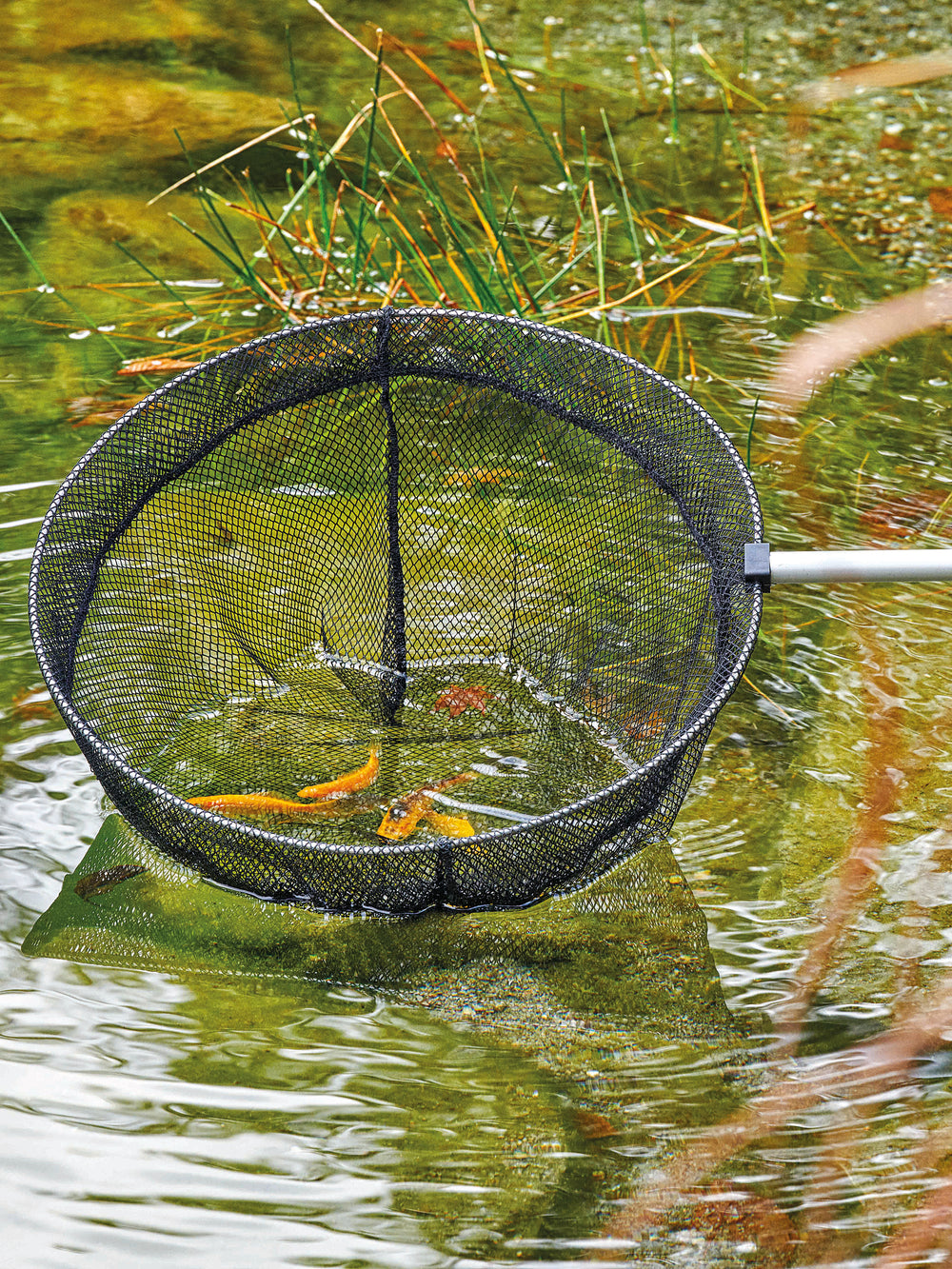 Fish net large - nepalaquastudio