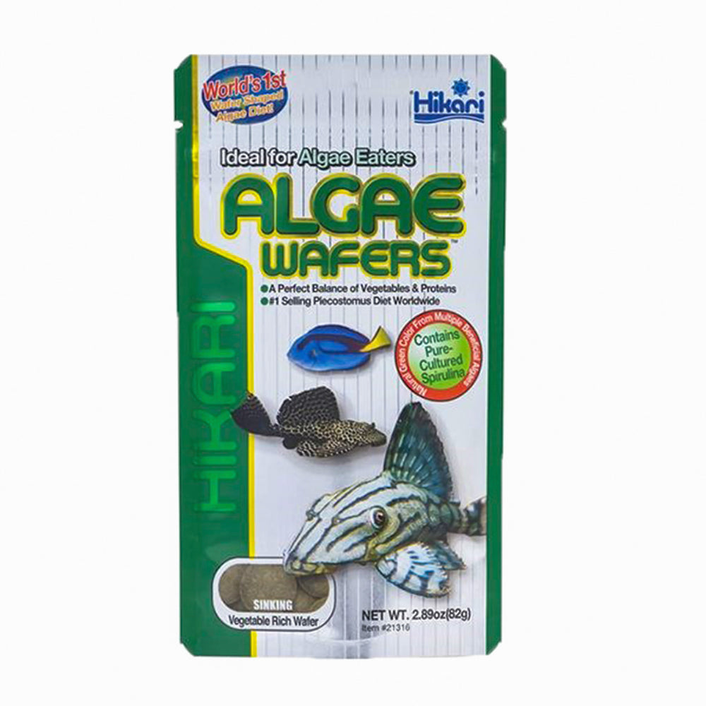 Hikari Algae Wafers - nepalaquastudio