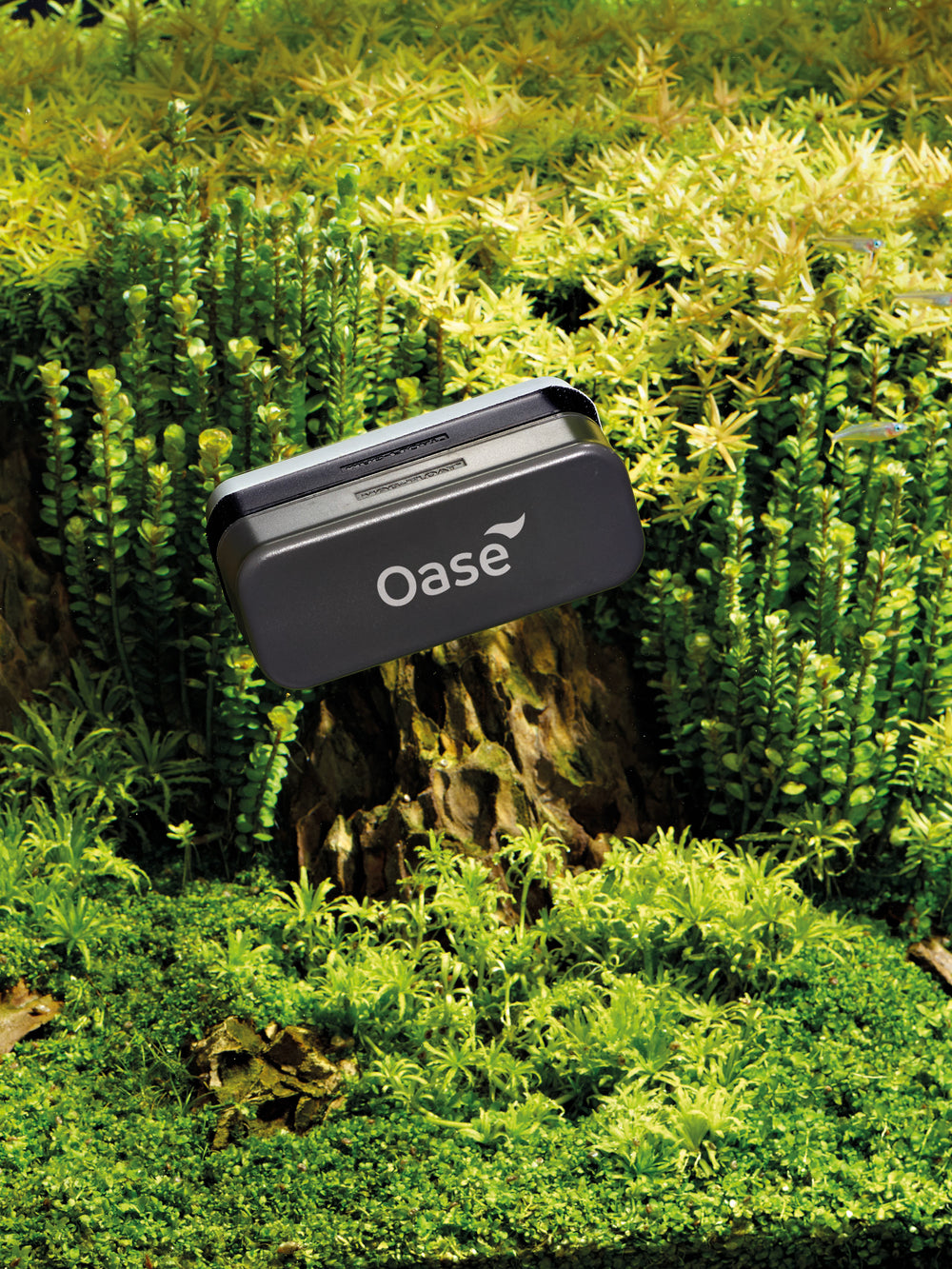 Magnetic glass cleaner 10 mm - nepalaquastudio