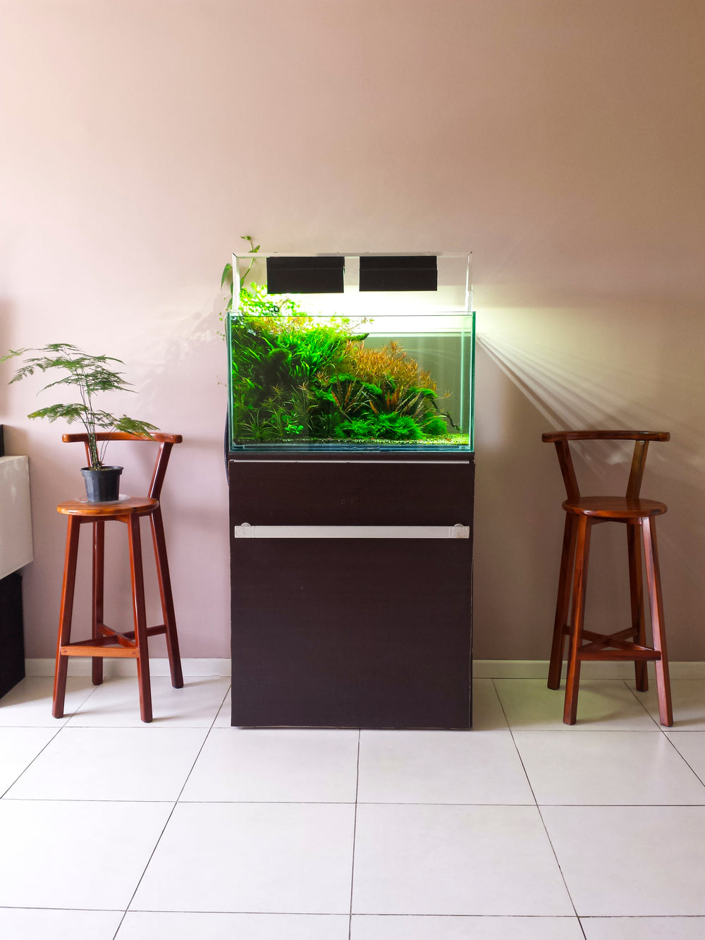 NA60 Rimless Aquarium - nepalaquastudio