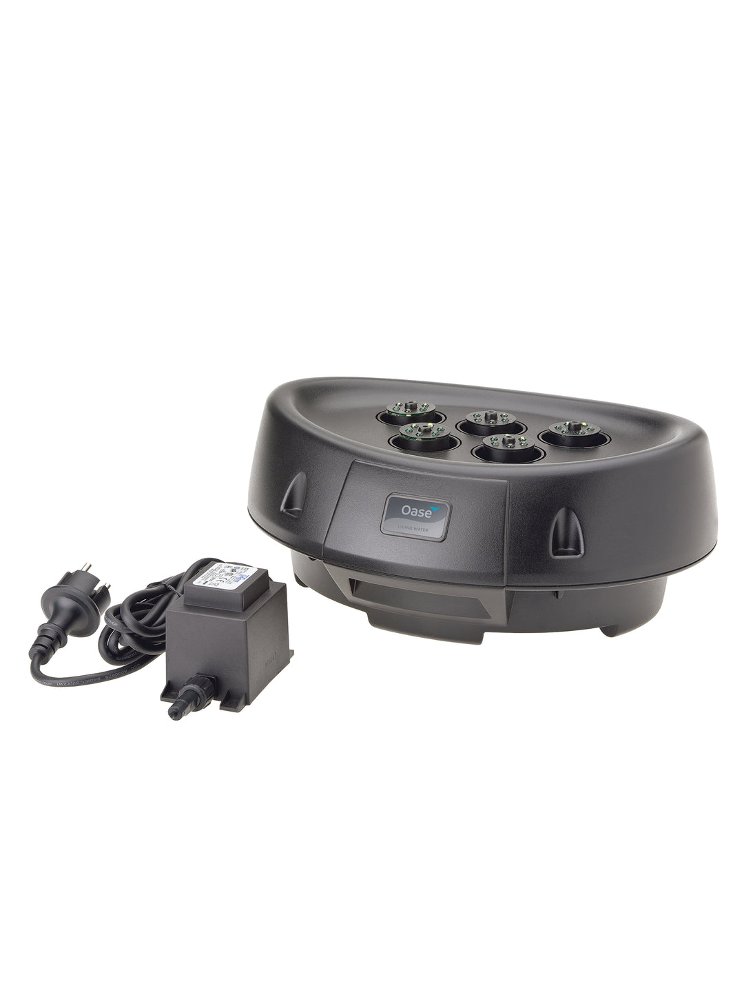 Water Starlet - nepalaquastudio