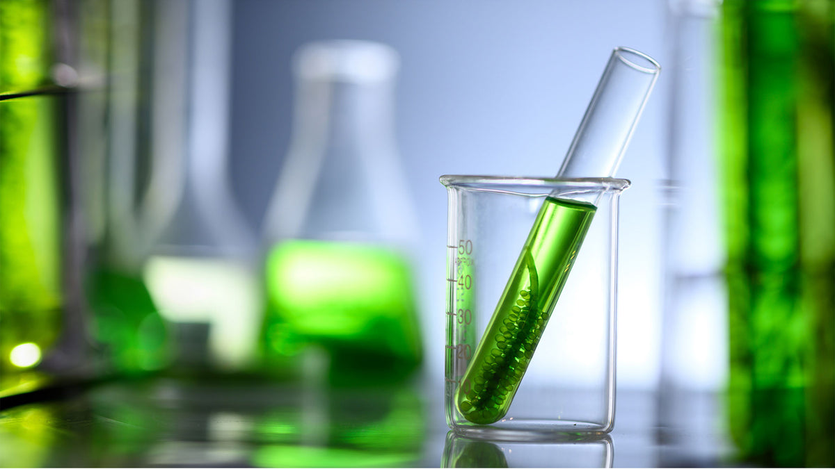 Curated visual reference: Buy Aquarium Algae Control Medicines Online Nepal Aqua Studio Photo Inspiration