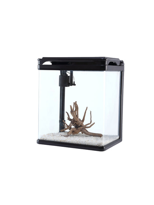 Camry Aquariums