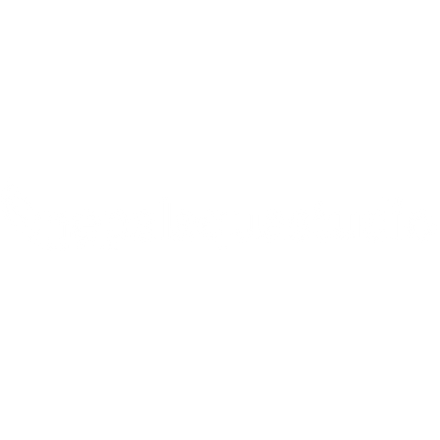 Nepal Aqua Studio - Aquarium shop in kathmandu Nepal