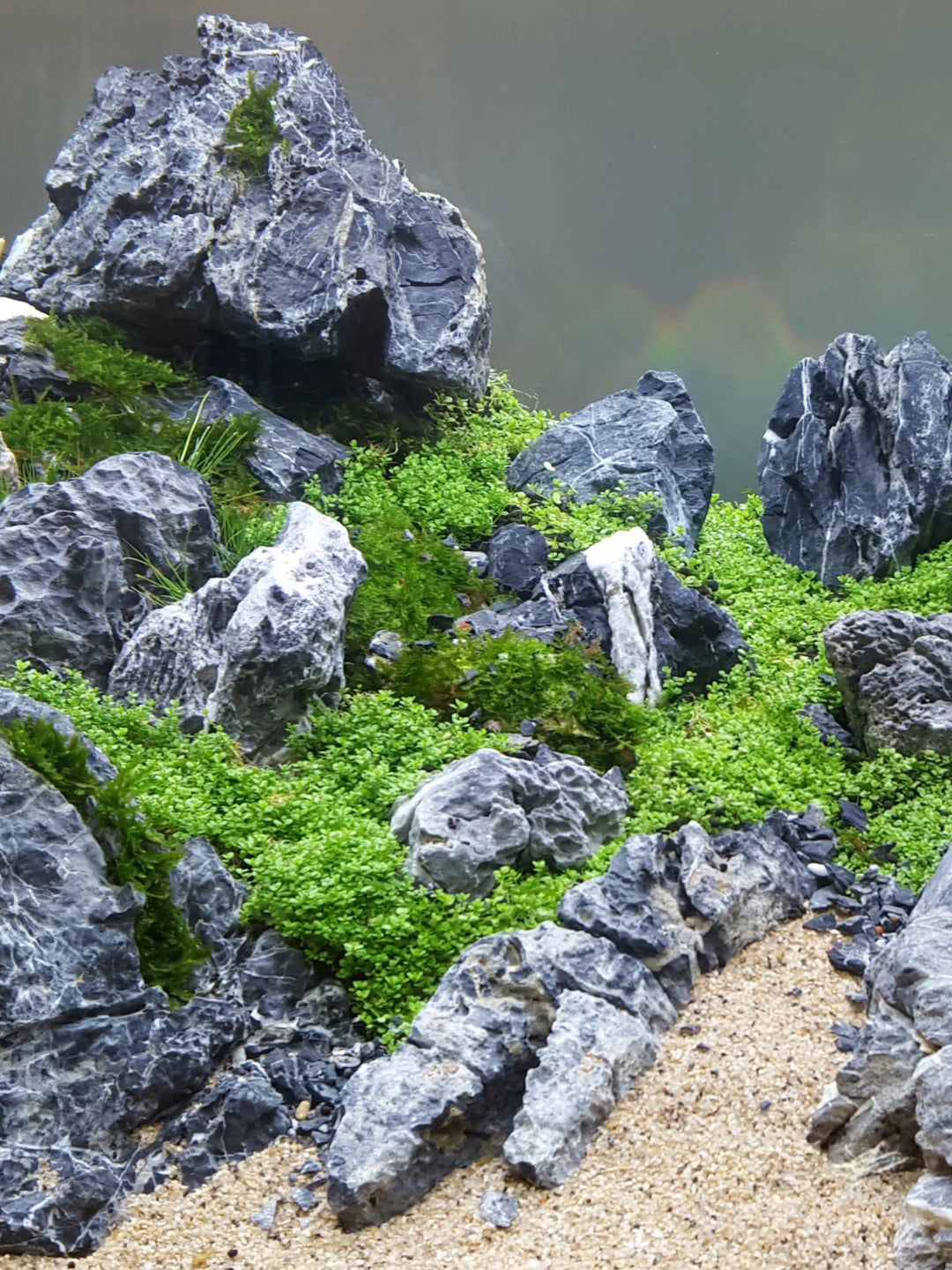 Seiryu Stone – Nepal Aqua Studio