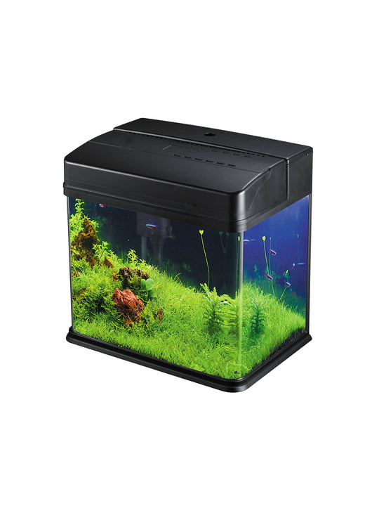 aquarium for working desk