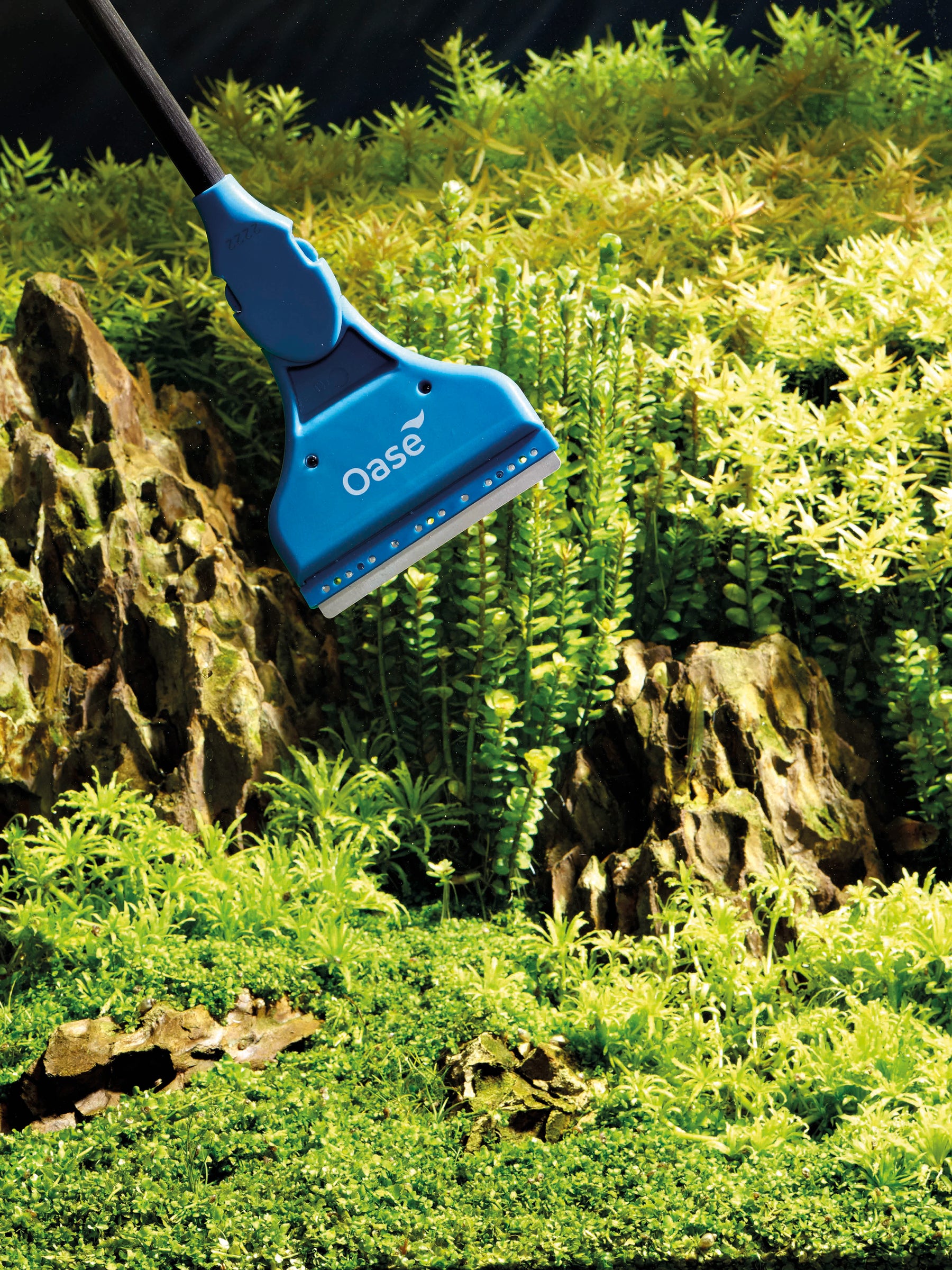 Oase Aquarium glass cleaner Nepal Aqua Studio