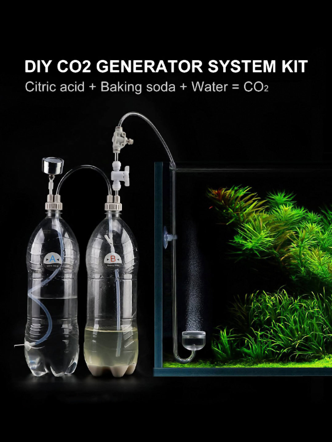 DIY CO2 generator aquarium setup