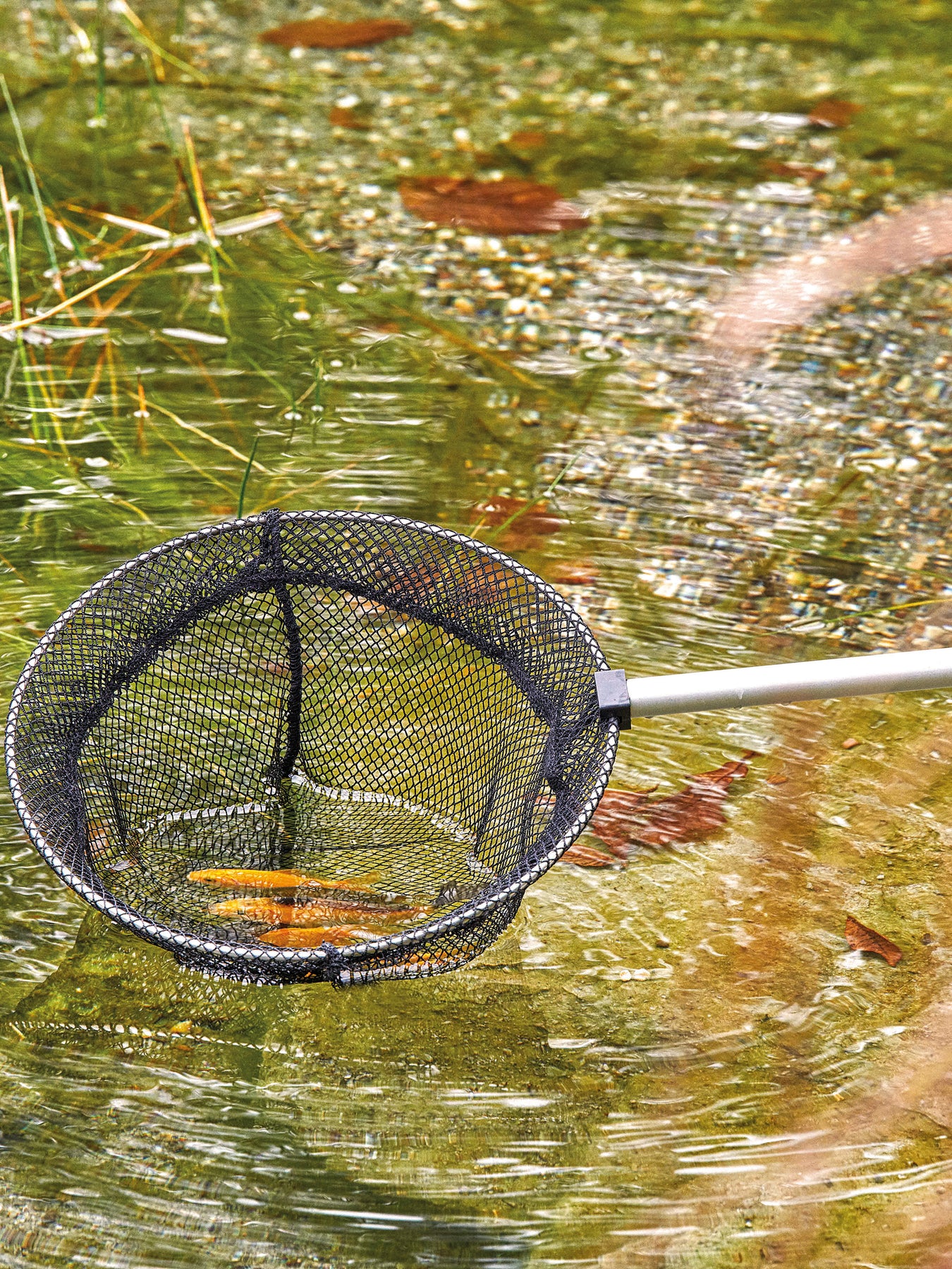 compact fishing net Fish net small – Nepal Aqua Studio