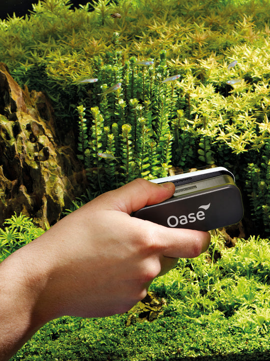 oase Magnetic glass cleaner 5mm - nepalaquastudio