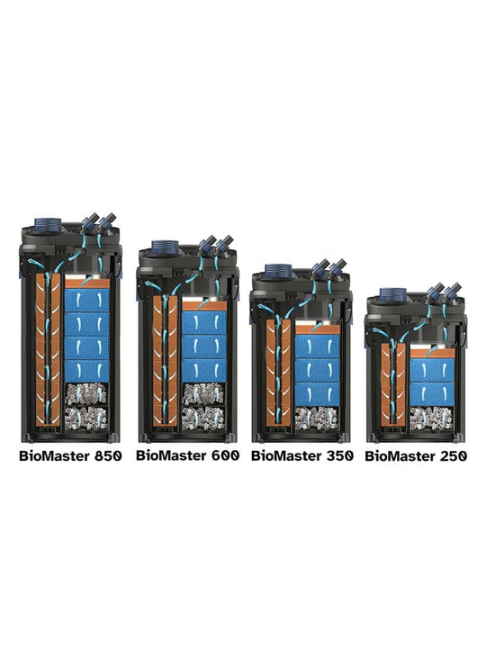 BioMaster Thermo 350 - nepalaquastudio